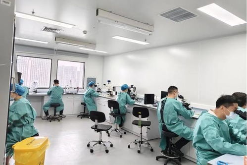 嘉實力全開！嘉定區在全市疾病預防控制職業技能競賽中包攬多個獎項
